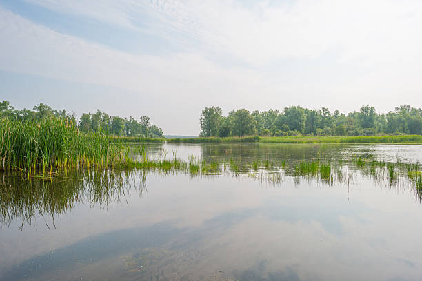 istock Shore of a lake in spring 535481050
