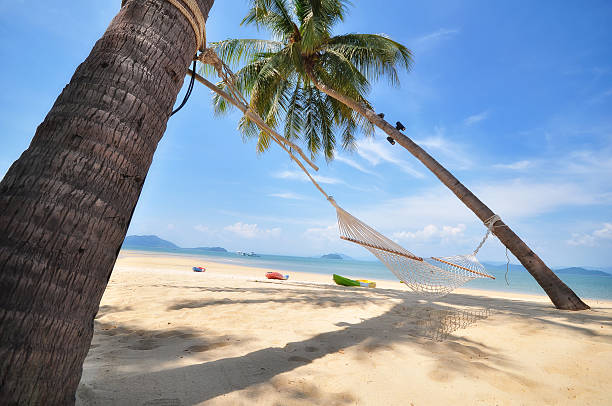 istock Coconut palm trees with hammock and tropical beach background 535481520