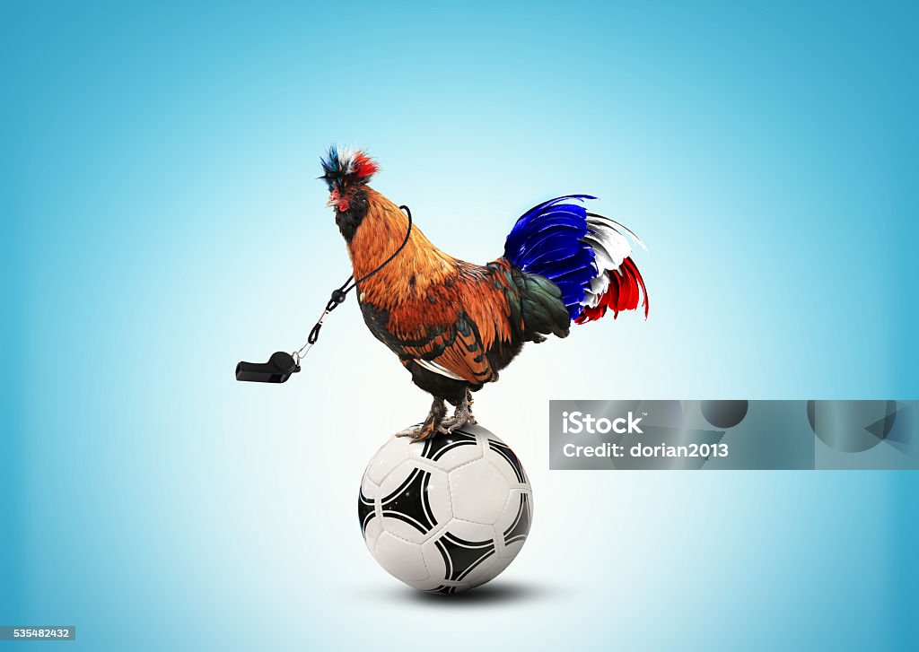 Français coq Couleur - Photo de Football libre de droits