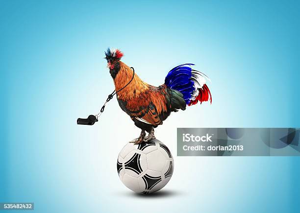 Photo libre de droit de Français Coq Couleur banque d'images et plus d'images libres de droit de Football - Football, France, Ballon de football