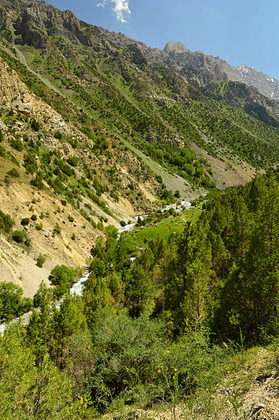 istock Mountain river, Galuyan gorge, Kyrgyzstan 535482437