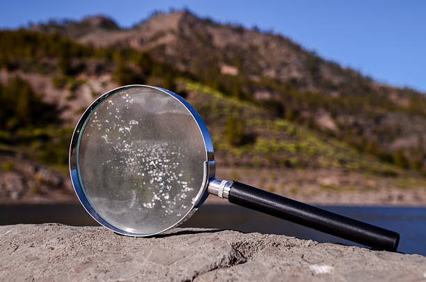 istock Magnify Glass Loupe on the Volcanic Rock 535484892