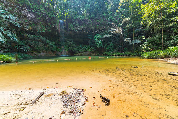 istock Rainforest natural pool and waterfall in Borneo, Malaysia 535485928