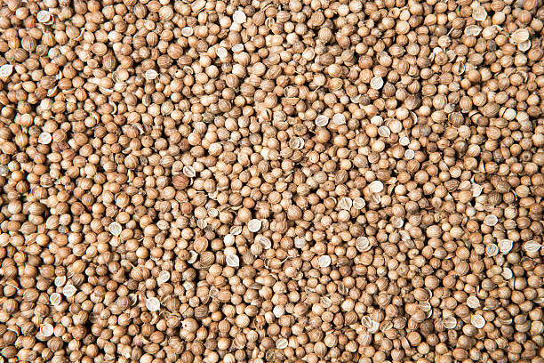 istock close up pile of dried coriander seed 535487378