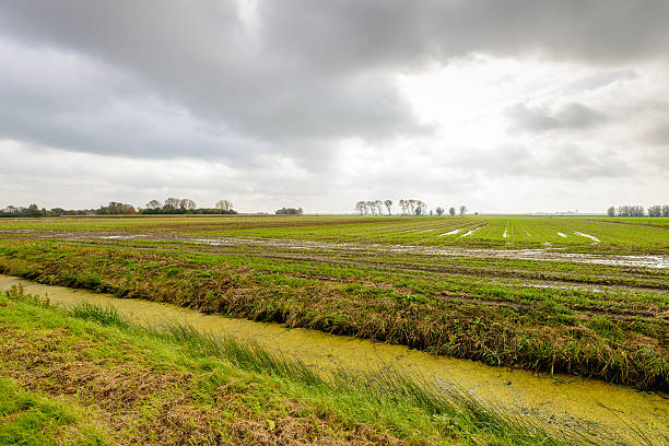 жизни облака с солнцем небо выше поля - polder autumn dirt field стоковые фото и изображения