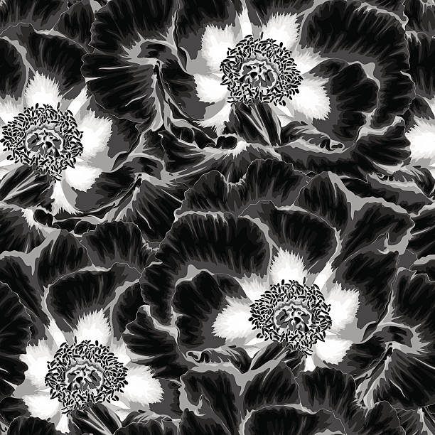 illustrazioni stock, clip art, cartoni animati e icone di tendenza di bianco e nero senza giunte sfondo con fiori, piante paeonia arborea - etching beautiful entertainment industry