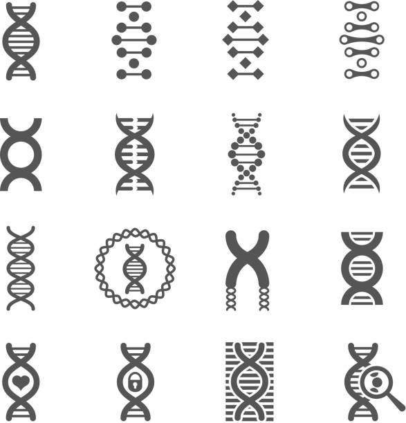 ilustrações, clipart, desenhos animados e ícones de dna em espiral vetor preto ícones definido para química ou biologia - dna science high scale magnification magnification