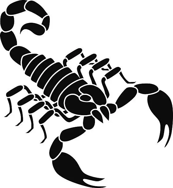 Vector illustration of vector scorpion in black and white