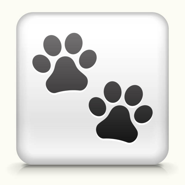 Paw Click Button 120+ Paw Print Button Stock Photos, Pictures & Royalty-Free Images - iStock
