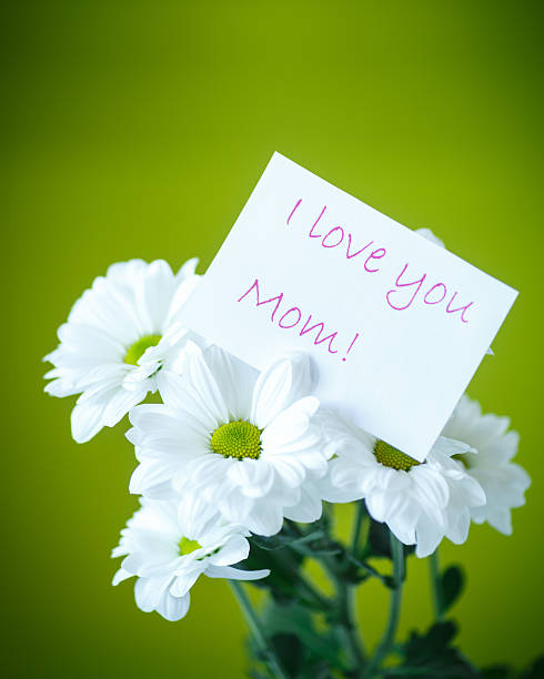 istock beautiful white flowers of chrysanthemum, 535490557