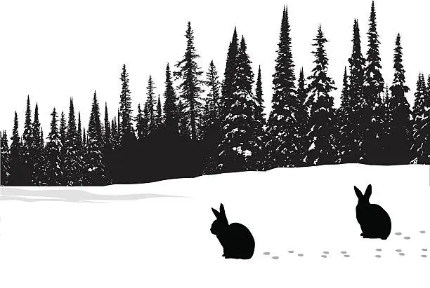 Vector illustration of Hares