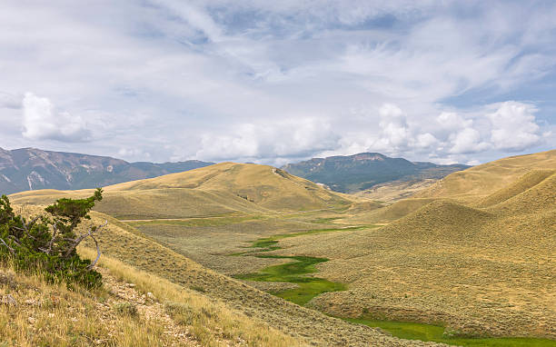 istock Beartooth Mountains, Red Lodge, Montana, USA. 535492981