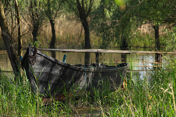 istock Old wooden boat on the river or swamp shore 535493441