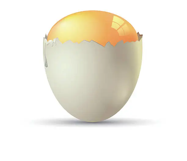 Vector illustration of Vector eggs