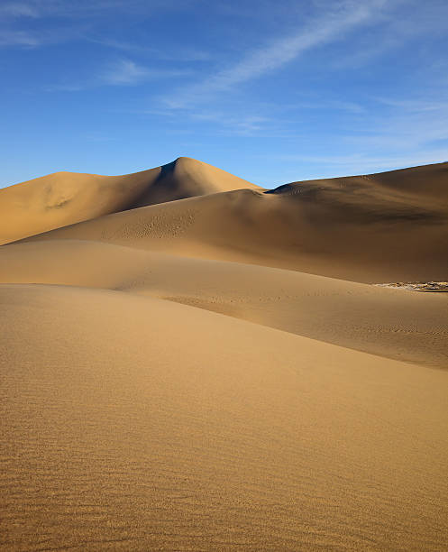 istock The soft curves of yellow sand dunes 535495792