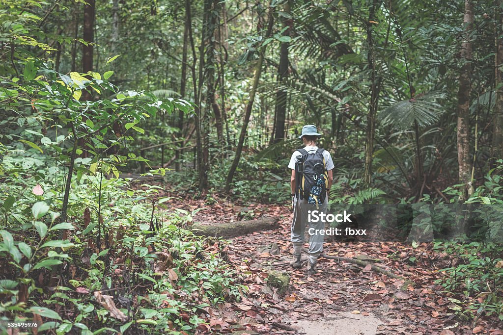 Mochilero explorar selva de Borneo, imagen virada - Foto de stock de Aire libre libre de derechos