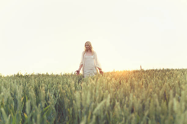 молодая женщина прогулки на пшеничное поле на закате - garment fragility women skirt стоковые фото и изображения