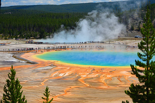 istock The World Famous Grand Prismatic Spring 535496900