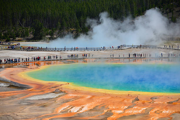 istock The World Famous Grand Prismatic Spring 535496956