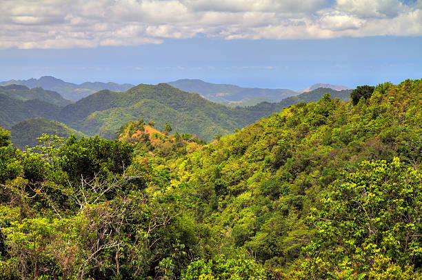 istock Puerto Rico nature panorama 535498884