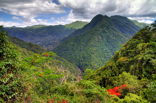 Beautiful view over the El Yunque national forest in Puerto Rico