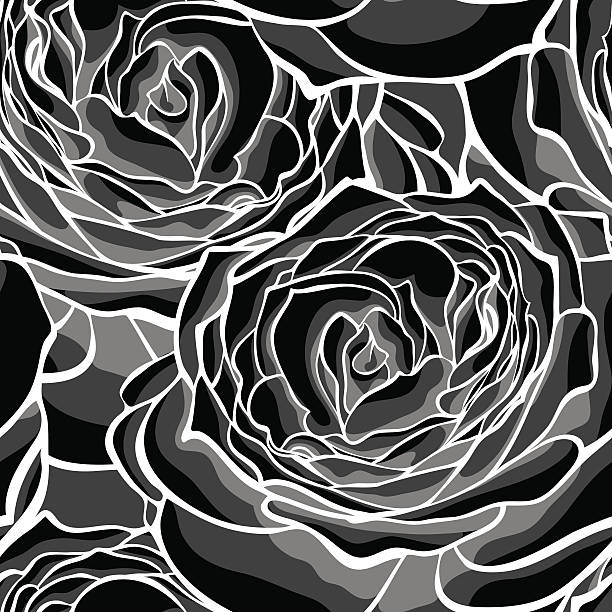 illustrazioni stock, clip art, cartoni animati e icone di tendenza di bianco e nero senza giunte sfondo con rose. - etching beautiful entertainment industry