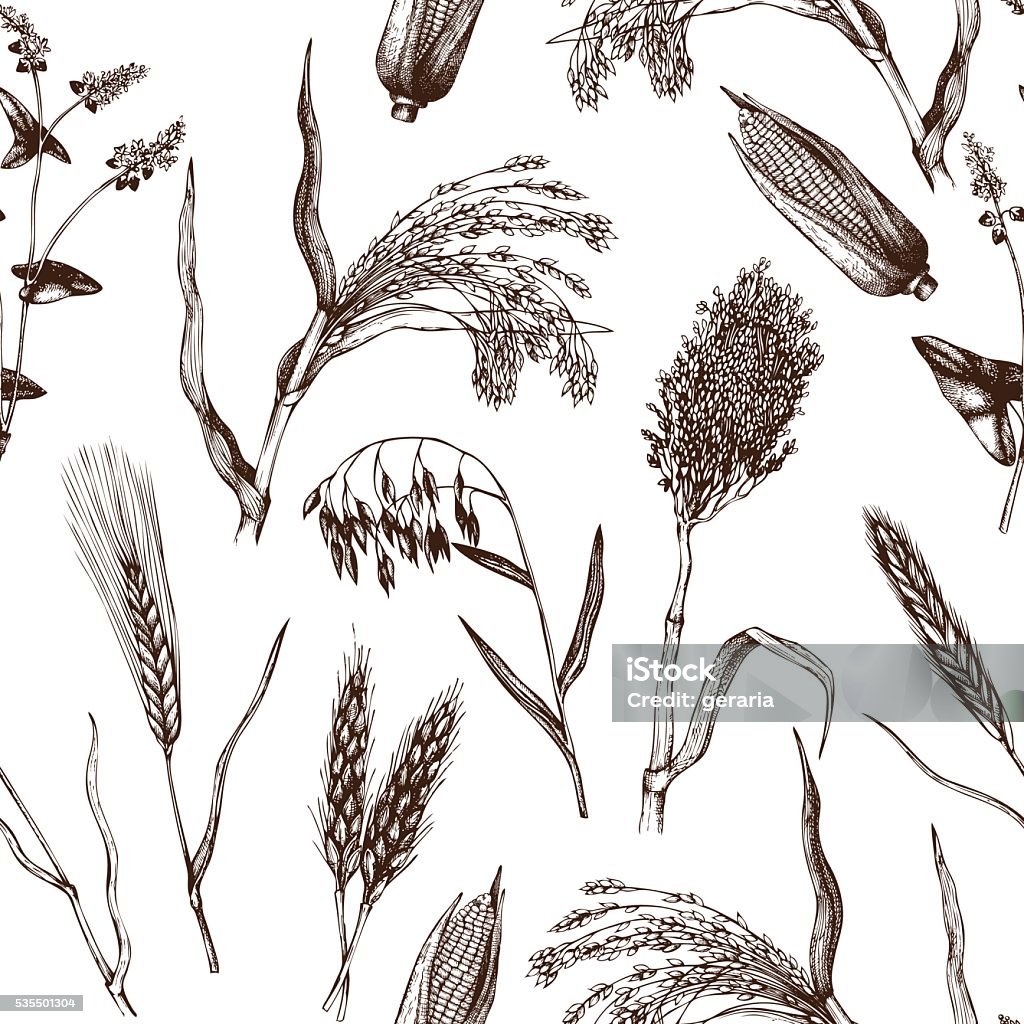 Vintage background with industrial crops illustration. Vector seamless pattern with hand drawn cereal crops sketches.  Farm fresh and locally grown organic products illustration. Illustration stock vector