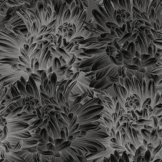 ilustraciones, imágenes clip art, dibujos animados e iconos de stock de hermoso blanco y negro monocromo fondo sin costuras con flores. - chrysanthemum single flower flower textile
