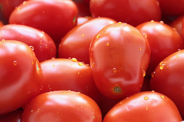 помидоры в качестве фона - plum tomato фотографии стоковые фото и изображения