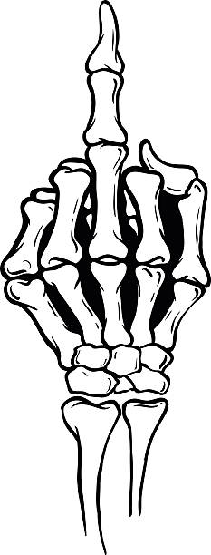 Skeleton Middle Finger Vector Illustration Skeleton shows middle finger, vector illustration, white background  obscene gesture stock illustrations