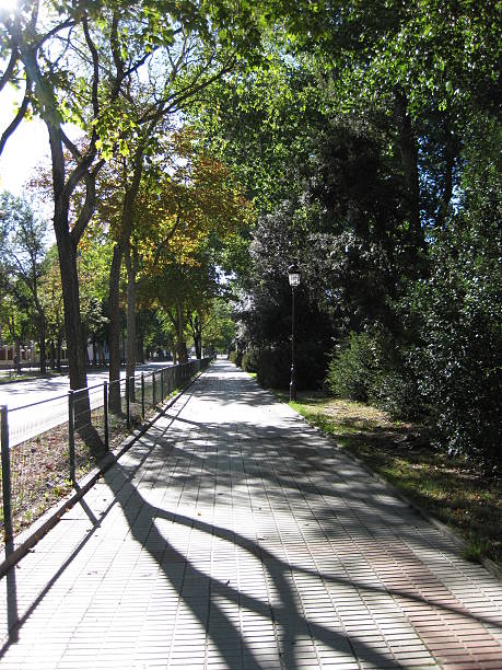 istock Parks, promenades and gardens. 535509602