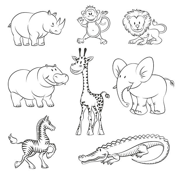 Safari and jungle vector animals Safari and jungle animals in hand drawn style. African animals icons. Vector illustration safari animals cartoon stock illustrations