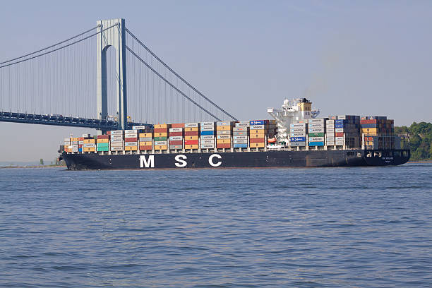 msc 화물입니까 배송하십시오 verrazano-내로우 구름다리, 뉴욕 베이에서의. - staten island new york harbor sea harbor 뉴스 사진 이미지