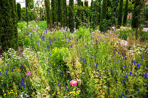 istock andalucia, garden of Alhambra 535511829