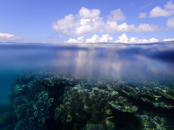 istock Snorkel  Japan Okinawa 535512204