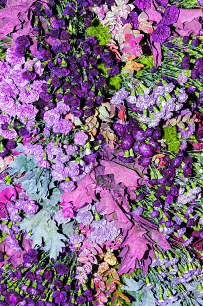 kolorowe kwiaty - spring nature life events arrangement zdjęcia i obrazy z banku zdjęć