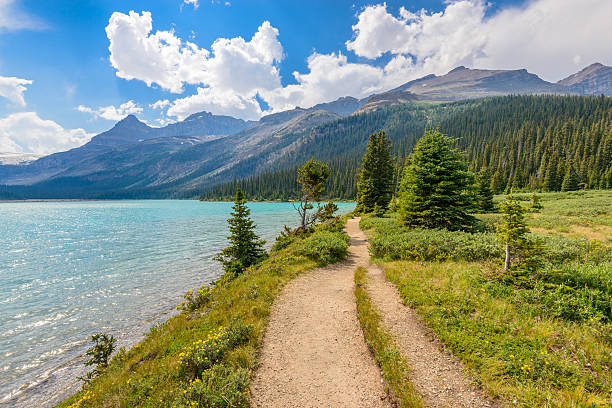 istock Bow Lake, Canadian Rockies 535513249