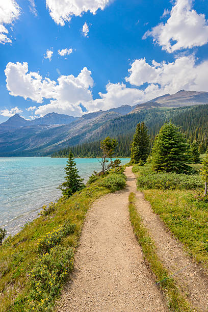 istock Bow Lake, Canadian Rockies 535513255