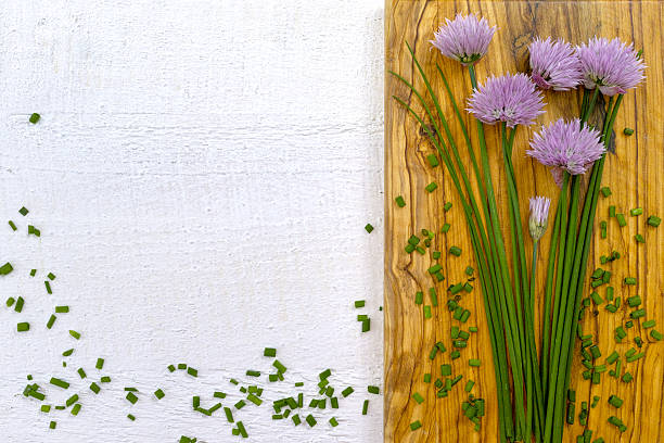 свежий зеленый и фиолетовый цветы цветущие шнитт-лук - nodoby стоковые фото и изображения