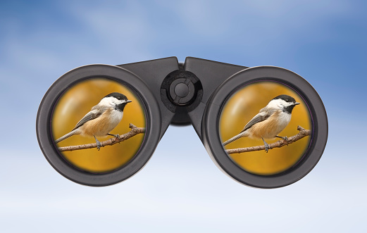 Close up of Binoculars with image of Black Capped Chickadee reflected in front lens.
