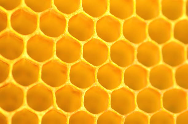 istock Closeup of honeycomb 535514539