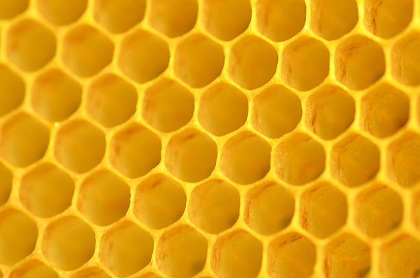 istock Closeup of honeycomb 535514543