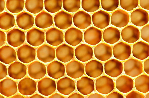 istock Closeup of honeycomb 535514545