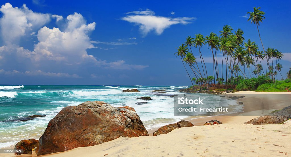 Sri Lanka Coast. Deserted Wild Beach on Sri Lanka Backgrounds Stock Photo