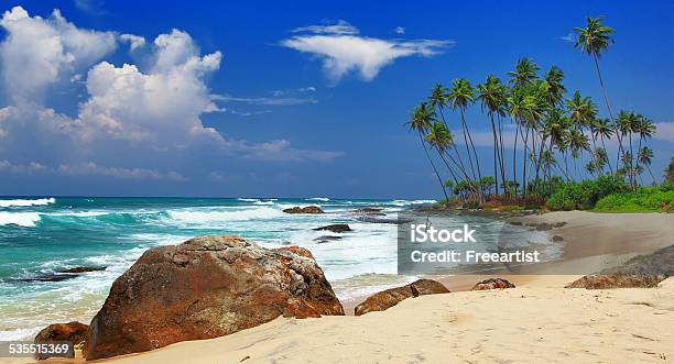 Sri Lanka Coast Stock Photo - Download Image Now - Backgrounds, Beach, Beauty In Nature