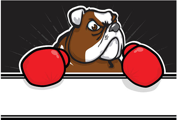 Mascota Bulldog-boxeador - ilustración de arte vectorial