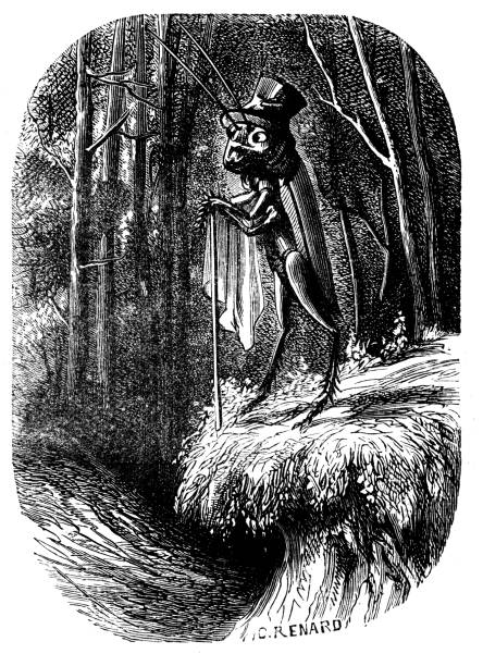 istock Antique illustration of humanised cricket and insects 535517947