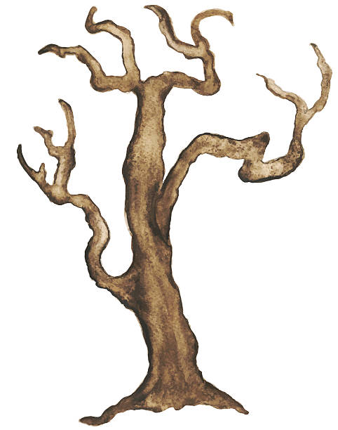 illustrazioni stock, clip art, cartoni animati e icone di tendenza di acquerello albero spoglio - driftwood wood isolated old