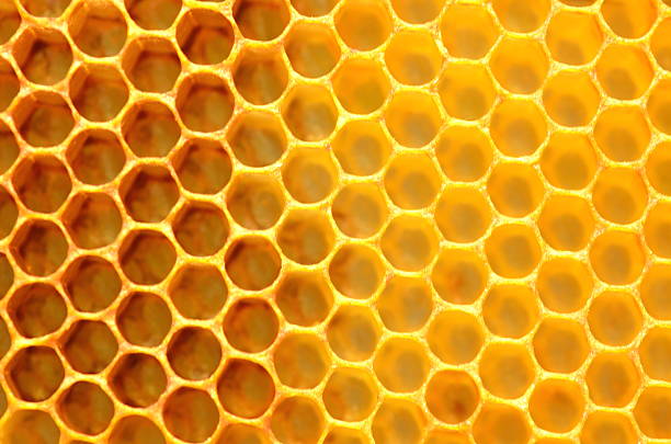 istock Closeup of honeycomb 535518509