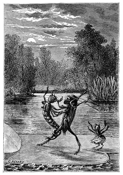 istock Antique illustration of humanised cricket and insects 535518935